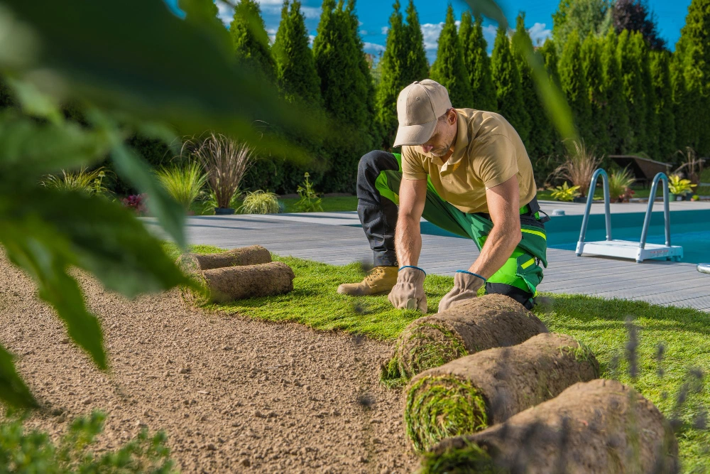 Professional gardener installing plants in a Dallas backyard